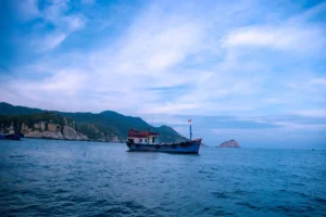 Toàn cảnh ninh chữ